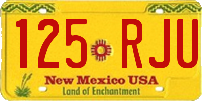 NM license plate 125RJU