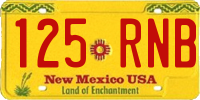 NM license plate 125RNB