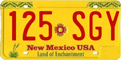 NM license plate 125SGY