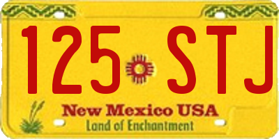 NM license plate 125STJ