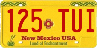 NM license plate 125TUI