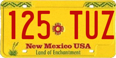 NM license plate 125TUZ