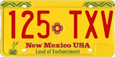 NM license plate 125TXV
