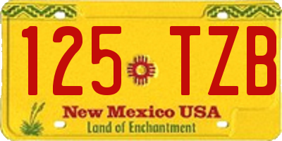 NM license plate 125TZB