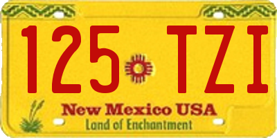 NM license plate 125TZI
