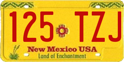 NM license plate 125TZJ