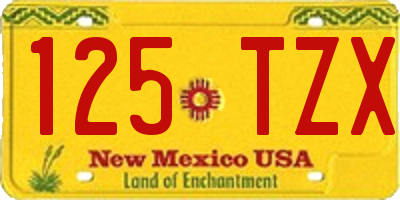 NM license plate 125TZX