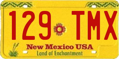 NM license plate 129TMX