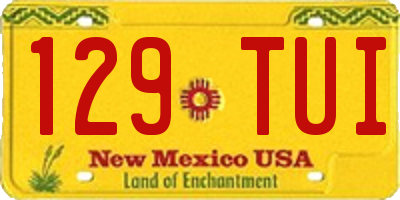 NM license plate 129TUI