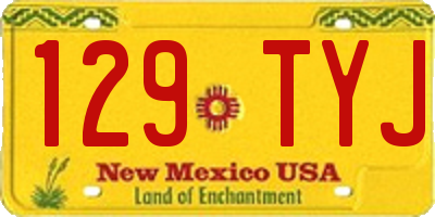 NM license plate 129TYJ