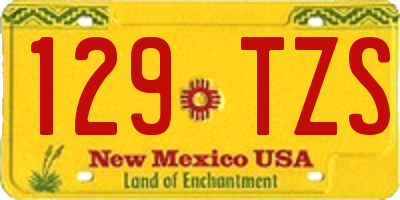 NM license plate 129TZS