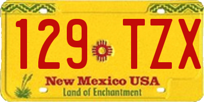 NM license plate 129TZX