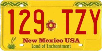 NM license plate 129TZY