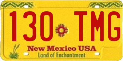 NM license plate 130TMG