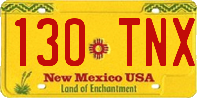 NM license plate 130TNX