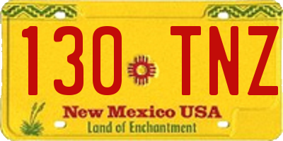 NM license plate 130TNZ