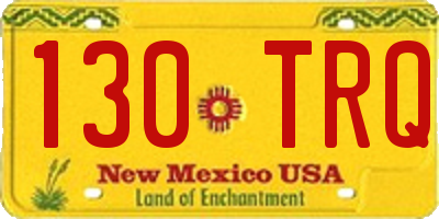 NM license plate 130TRQ