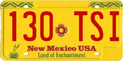 NM license plate 130TSI