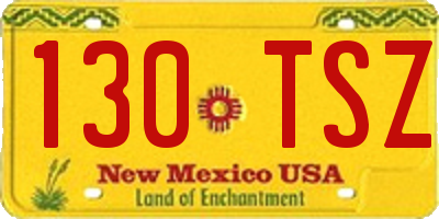 NM license plate 130TSZ