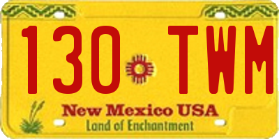 NM license plate 130TWM