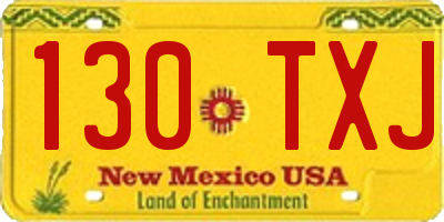 NM license plate 130TXJ