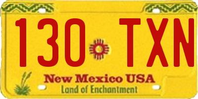 NM license plate 130TXN