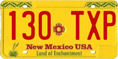 NM license plate 130TXP