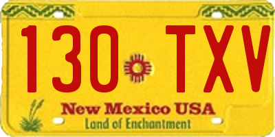 NM license plate 130TXV
