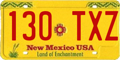 NM license plate 130TXZ