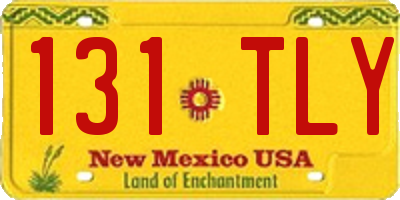 NM license plate 131TLY