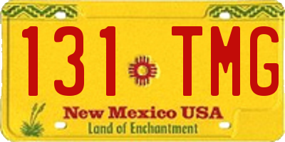 NM license plate 131TMG