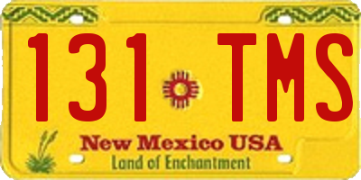 NM license plate 131TMS
