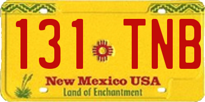 NM license plate 131TNB
