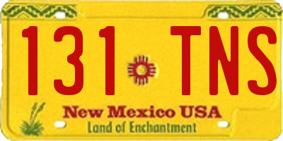 NM license plate 131TNS