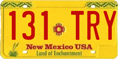 NM license plate 131TRY