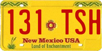 NM license plate 131TSH