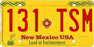 NM license plate 131TSM