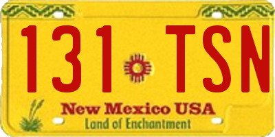NM license plate 131TSN