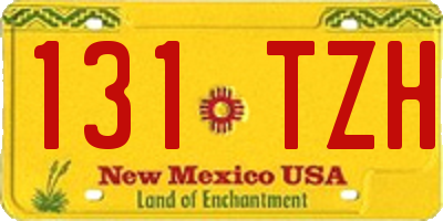 NM license plate 131TZH