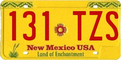 NM license plate 131TZS