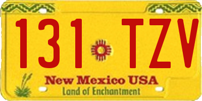 NM license plate 131TZV