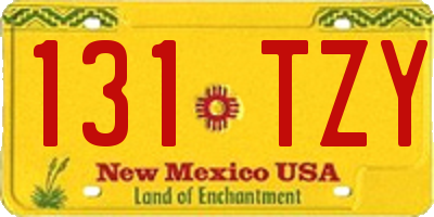 NM license plate 131TZY