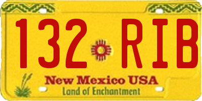 NM license plate 132RIB