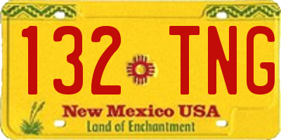 NM license plate 132TNG