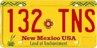 NM license plate 132TNS