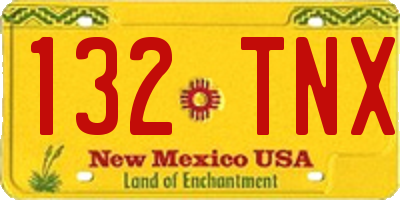 NM license plate 132TNX