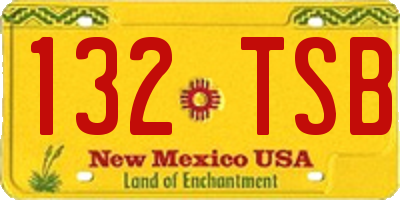 NM license plate 132TSB