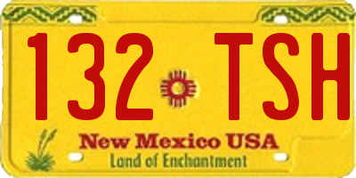 NM license plate 132TSH