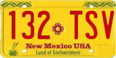 NM license plate 132TSV