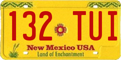 NM license plate 132TUI